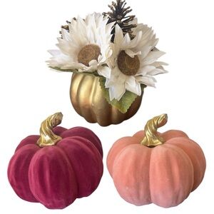 FALL PUMPKIN BUNDLE - THANKSGIVING CHIC FALL/Pumpkin Decor
